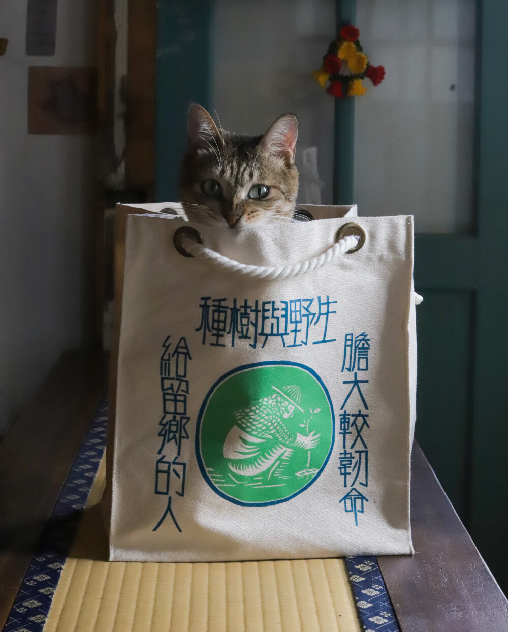 「媽媽來種樹」帆布袋